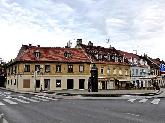 Statue of August Senoe